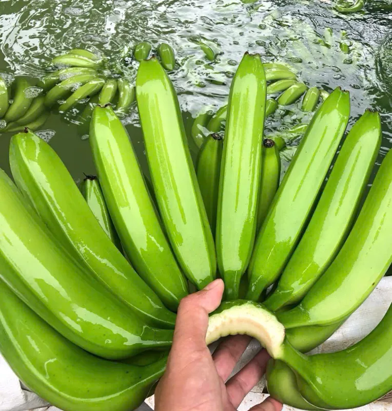 Ảnh 4/6