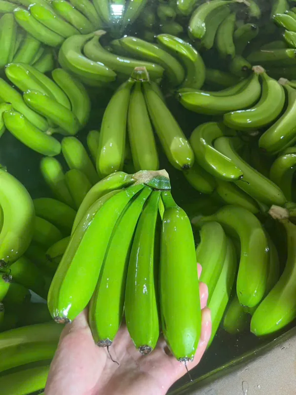 Ảnh 5/6