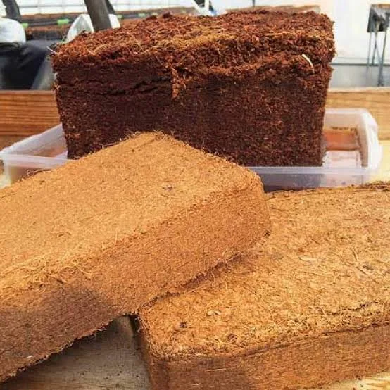 Coco Peat / Coir Pith Block