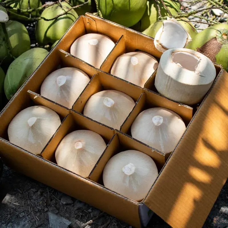 Fresh Coconut