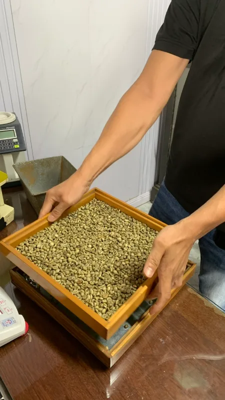 Green Coffee Beans