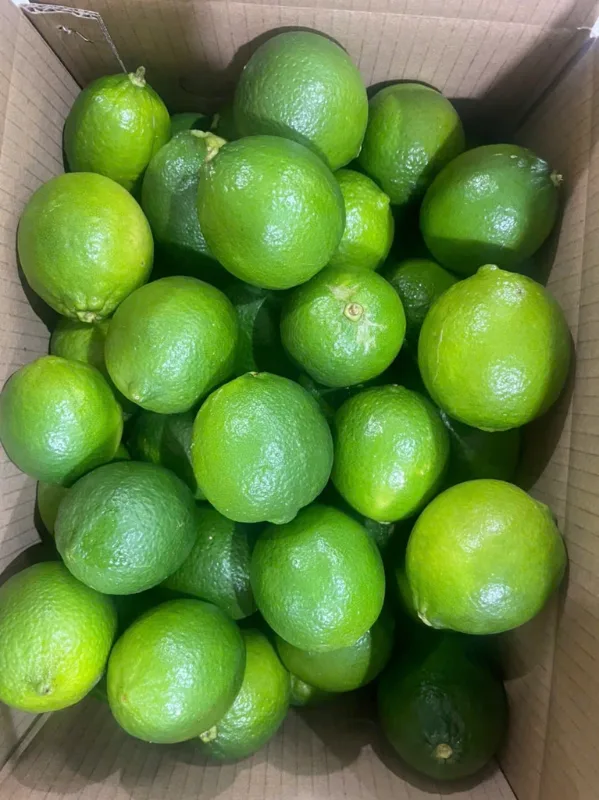 Ảnh 6/6
